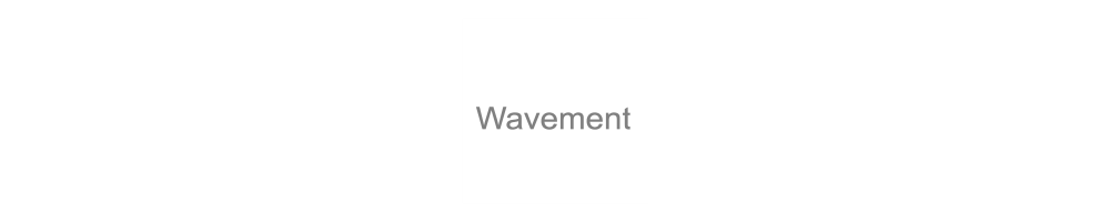 Wavement Store