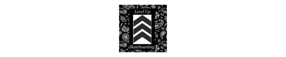 Level Up Skateboarding Store
