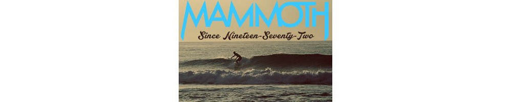 Mammoth Skateboards Store
