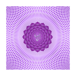 LimitLess Skateboarding