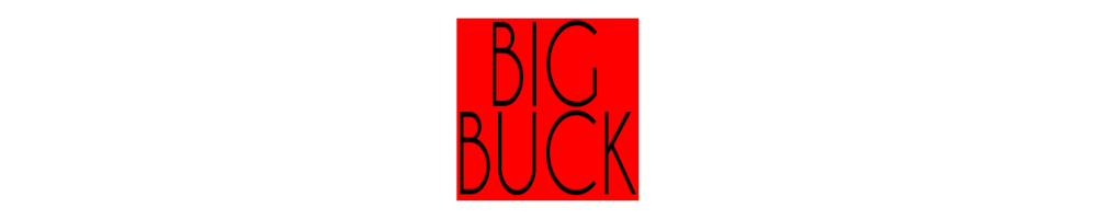 BIG BUCK skateboarding Store