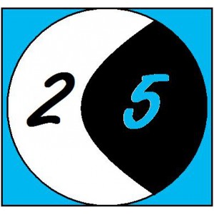 Midnight 25 Skateboards