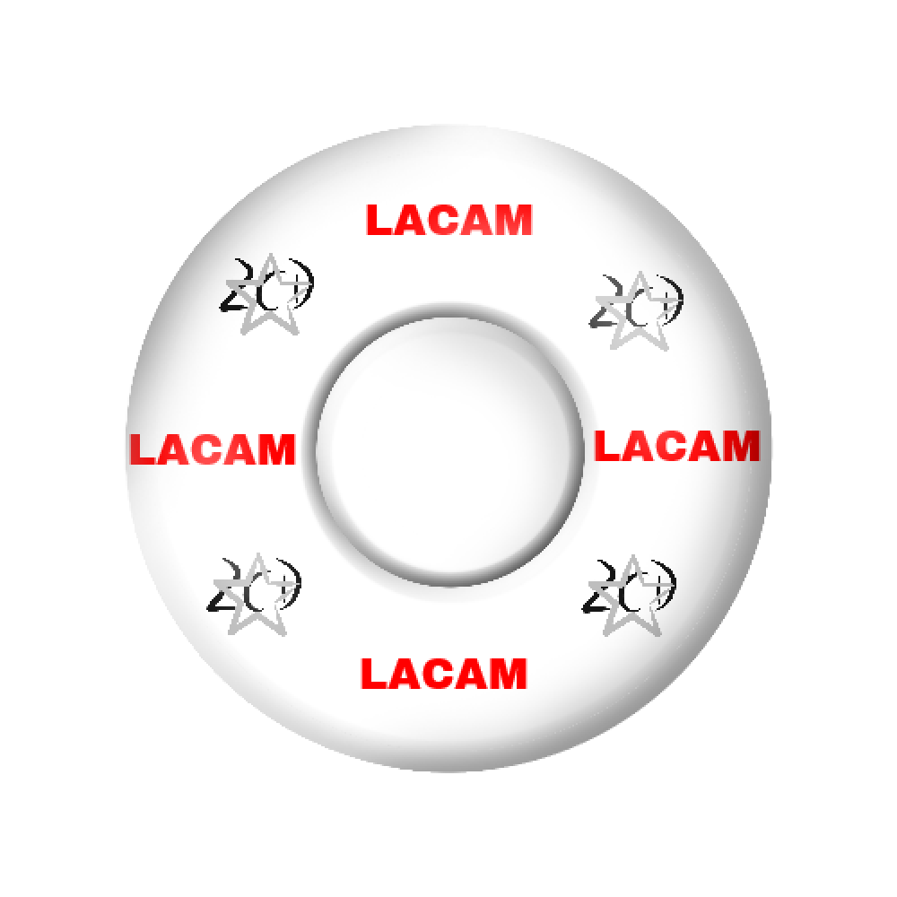 Lacam spins