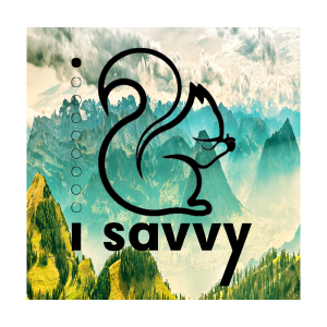 iSavvy Limited Board Co.