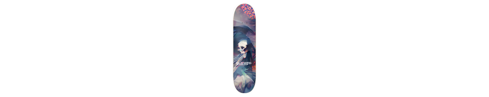 Elevate Skate Boards Store