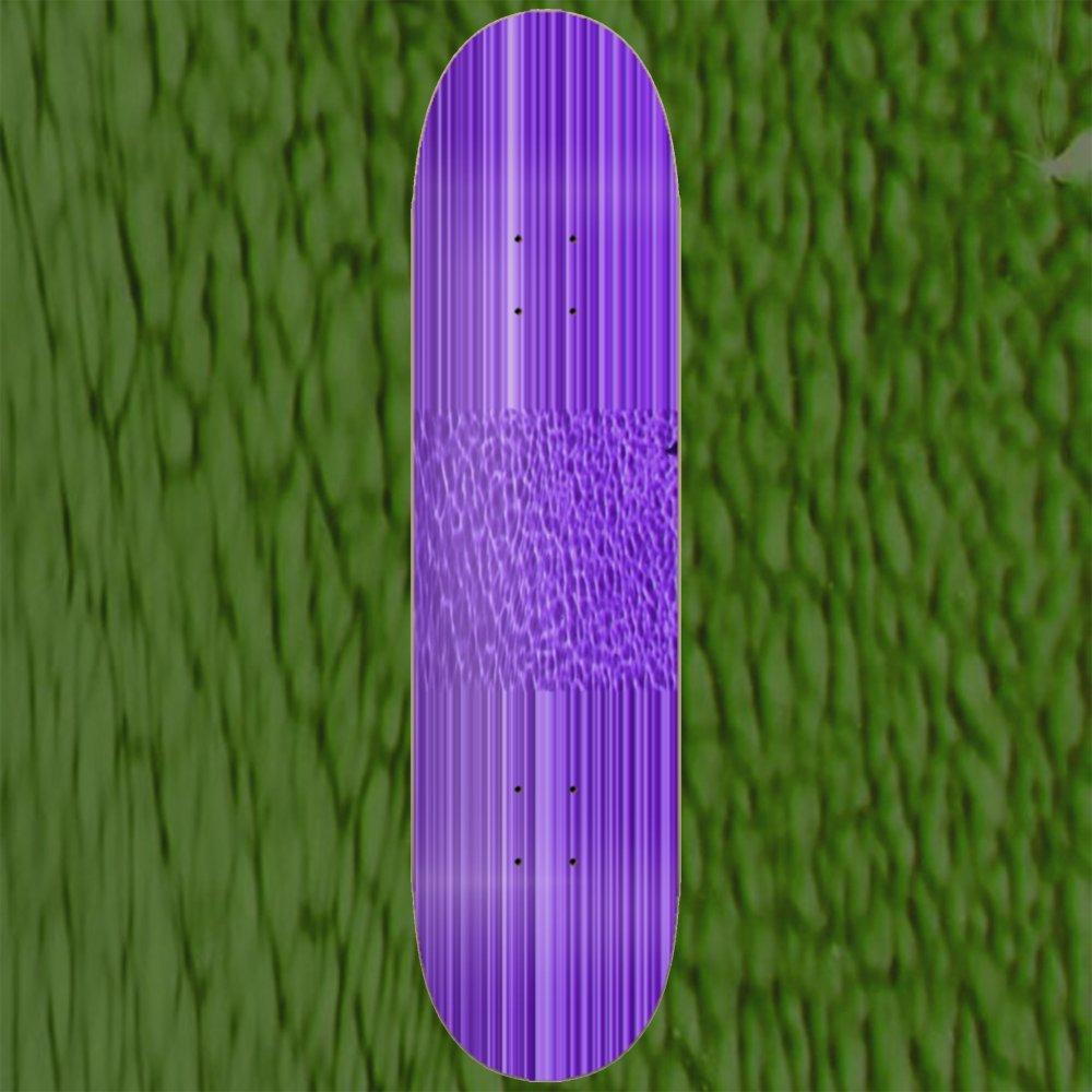 Skateboard Deck 3