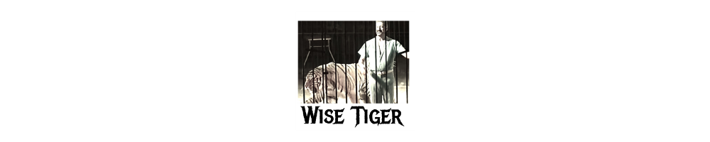 Wise Tiger Skateboards Store