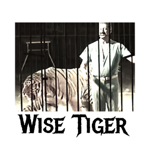 Wise Tiger Skateboards