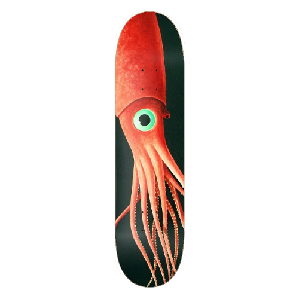 Giant Squid (No Logo)
