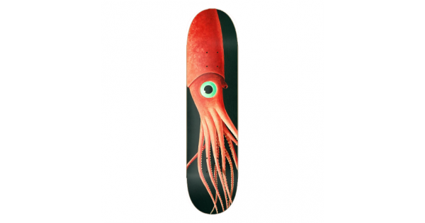 Squid-600x315.png