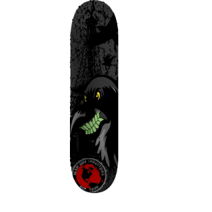 PARIS ZOMBIE CROW INVASION